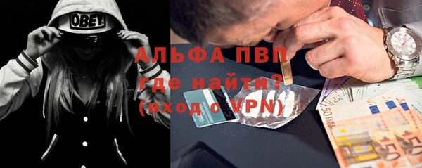 стаф Надым