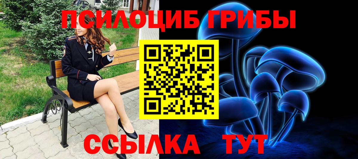 Псилоцибиновые грибы Cubensis Юрга