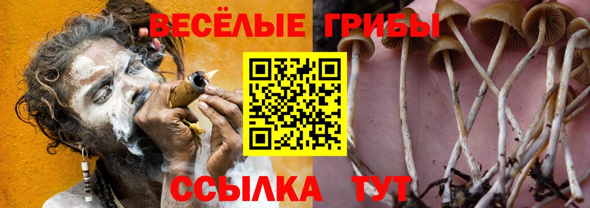 Галлюциногенные грибы GOLDEN TEACHER  Вход с VPN  Юрга 